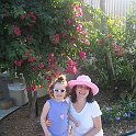 florida 2008 0288