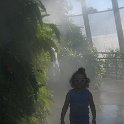 florida 2008 0295