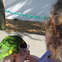 florida 2008 0300