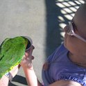 florida 2008 0301