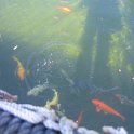 florida 2008 0323