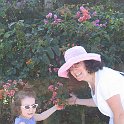 florida 2008 0325