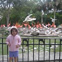 florida 2008 0330