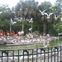 florida 2008 0332