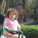 florida 2008 0339
