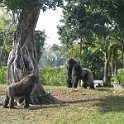 florida 2008 0341