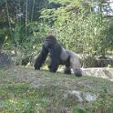 florida 2008 0345