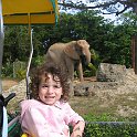 florida 2008 0349