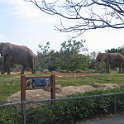florida 2008 0350
