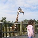 florida 2008 0351