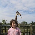 florida 2008 0352