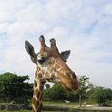 florida 2008 0353