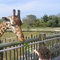 florida 2008 0356