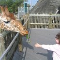 florida 2008 0357