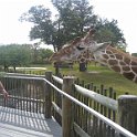 florida 2008 0358