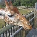 florida 2008 0362