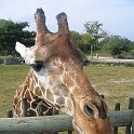 florida 2008 0363