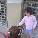 florida 2008 0364