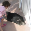 florida 2008 0365