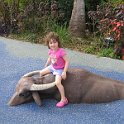 florida 2008 0375