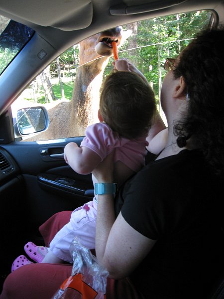 Tremblant 2008 0004