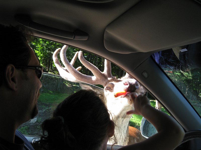 Tremblant 2008 0005