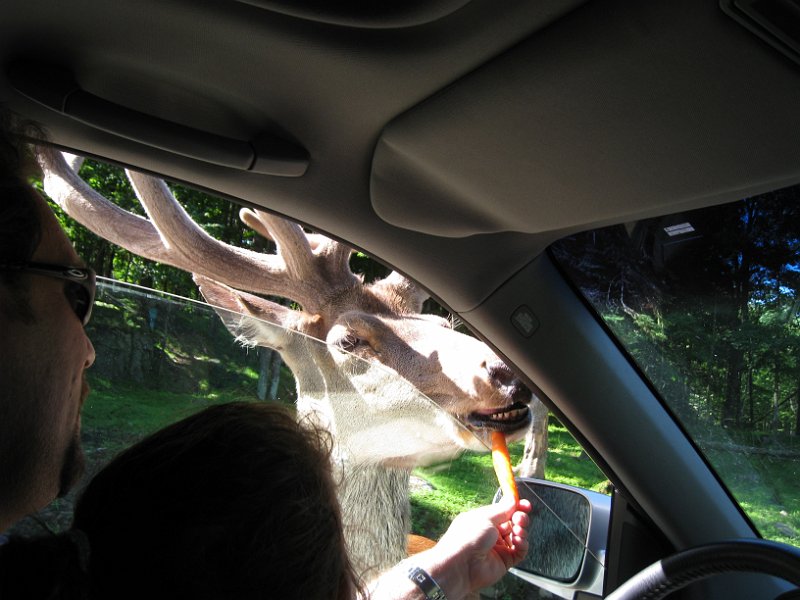 Tremblant 2008 0007