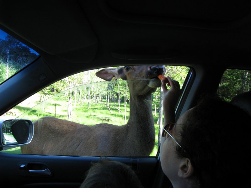 Tremblant 2008 0009