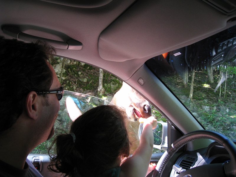 Tremblant 2008 0022