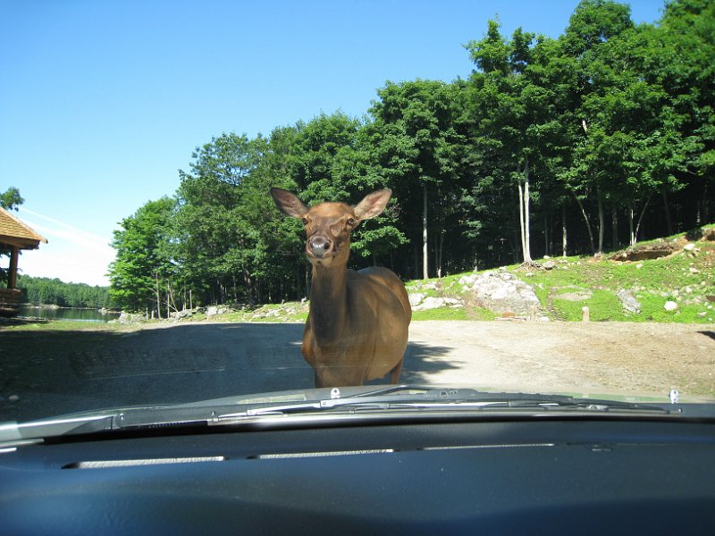 Tremblant 2008 0029