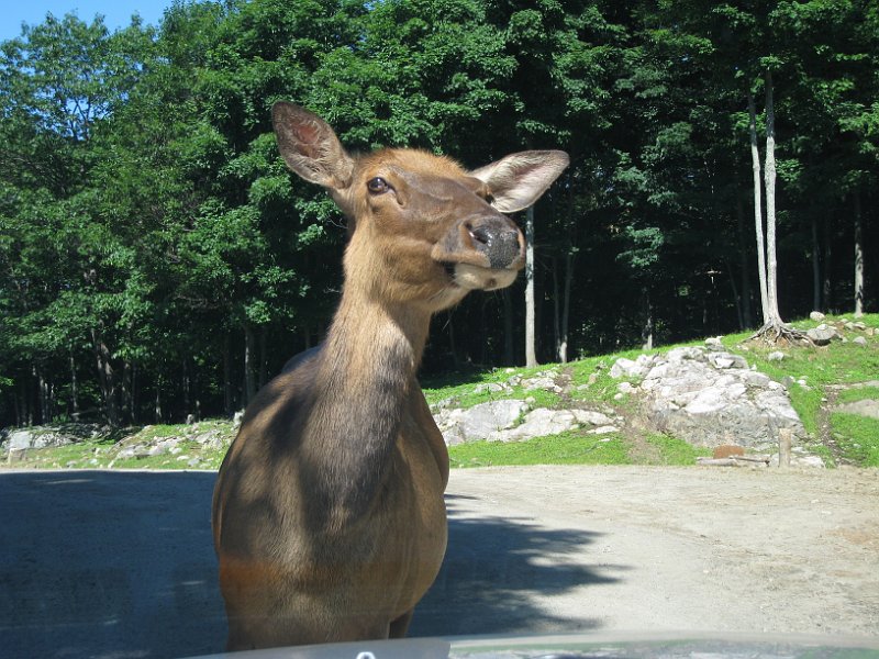 Tremblant 2008 0030