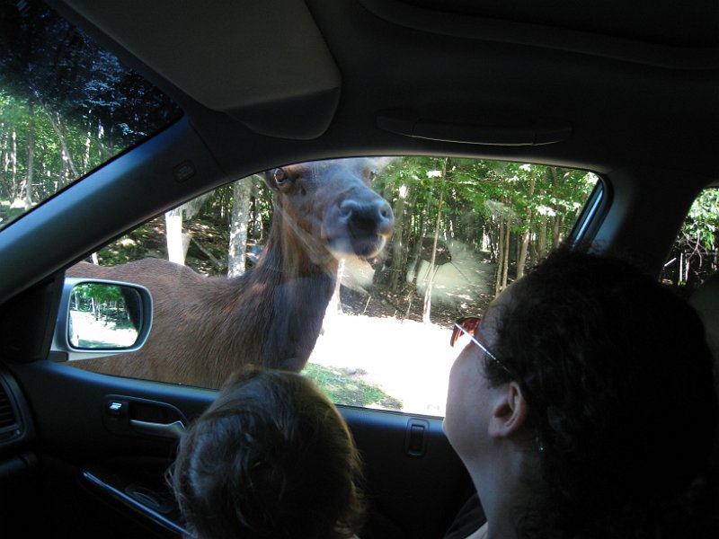 Tremblant 2008 0034