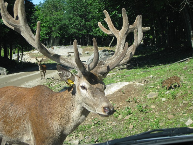 Tremblant 2008 0035
