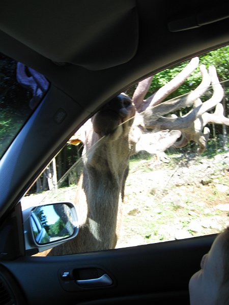 Tremblant 2008 0036