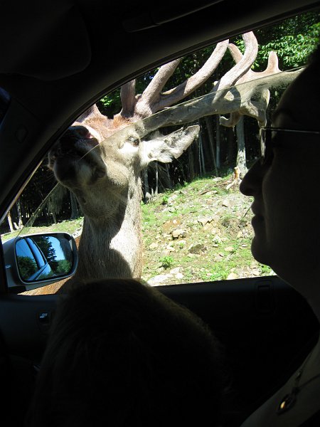 Tremblant 2008 0038