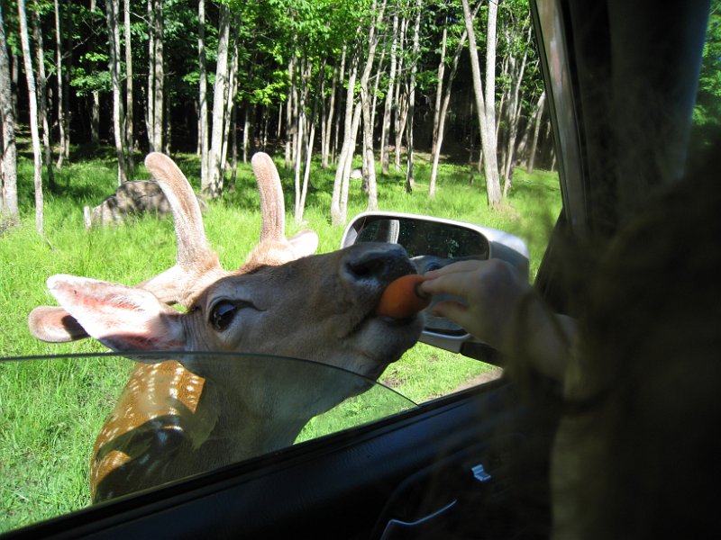 Tremblant 2008 0045