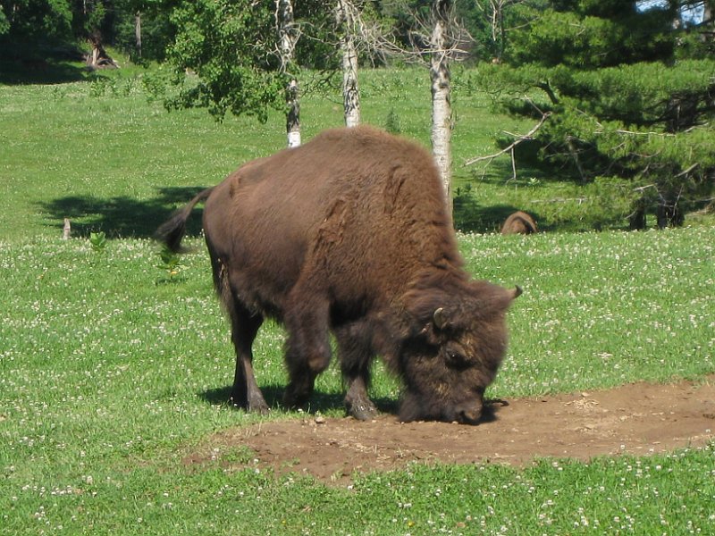 Tremblant 2008 0048