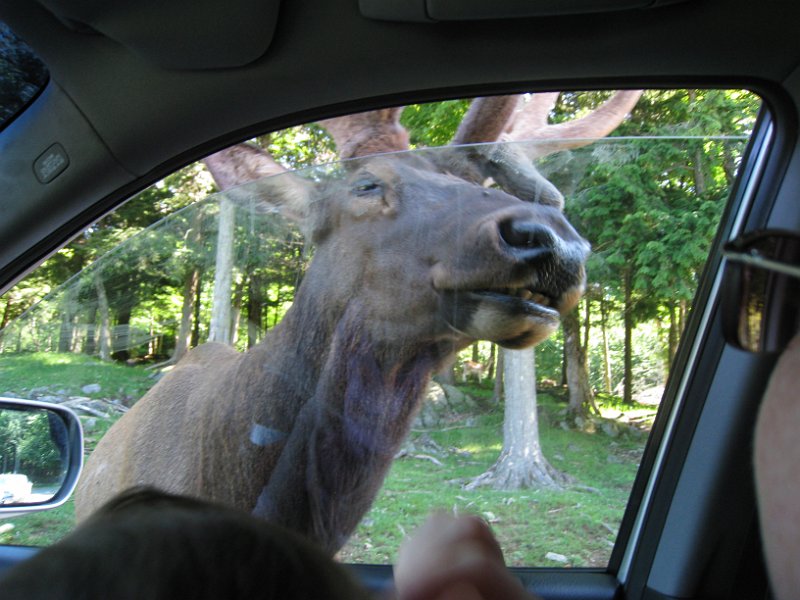 Tremblant 2008 0058