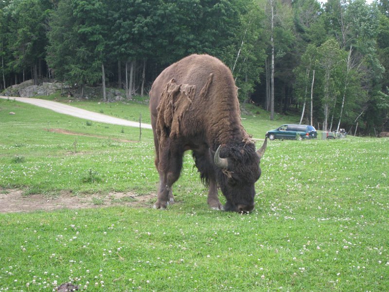 Tremblant 2008 0112