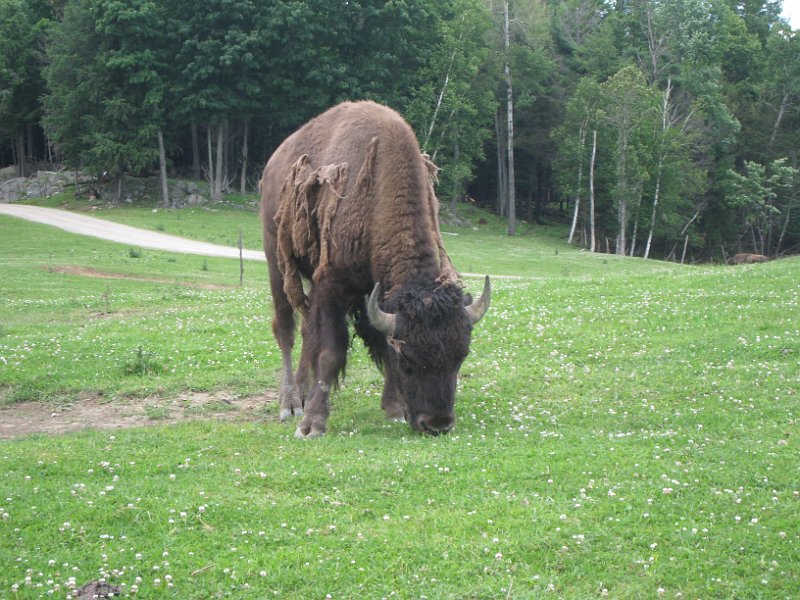 Tremblant 2008 0113