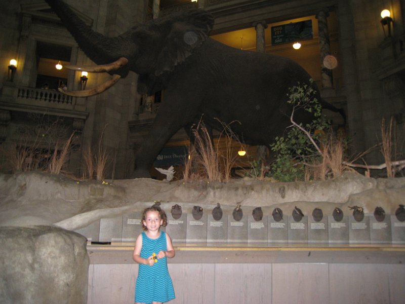 washington 2008 0060