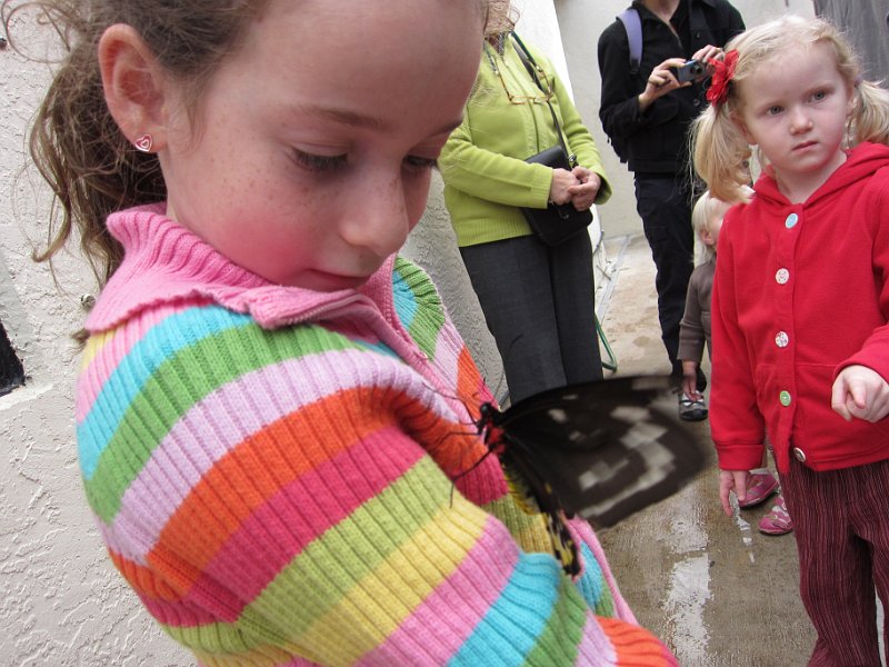 Florida Dec 2010 0053