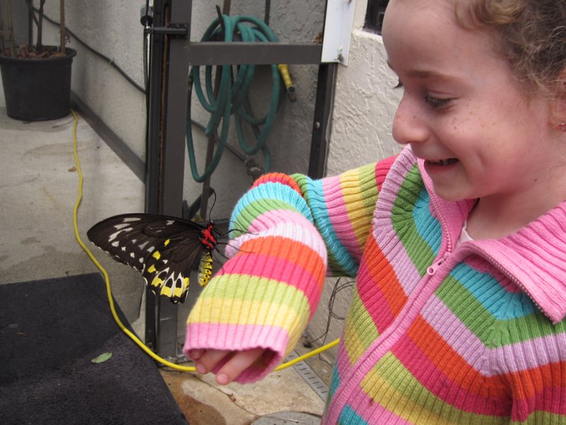 Florida Dec 2010 0054