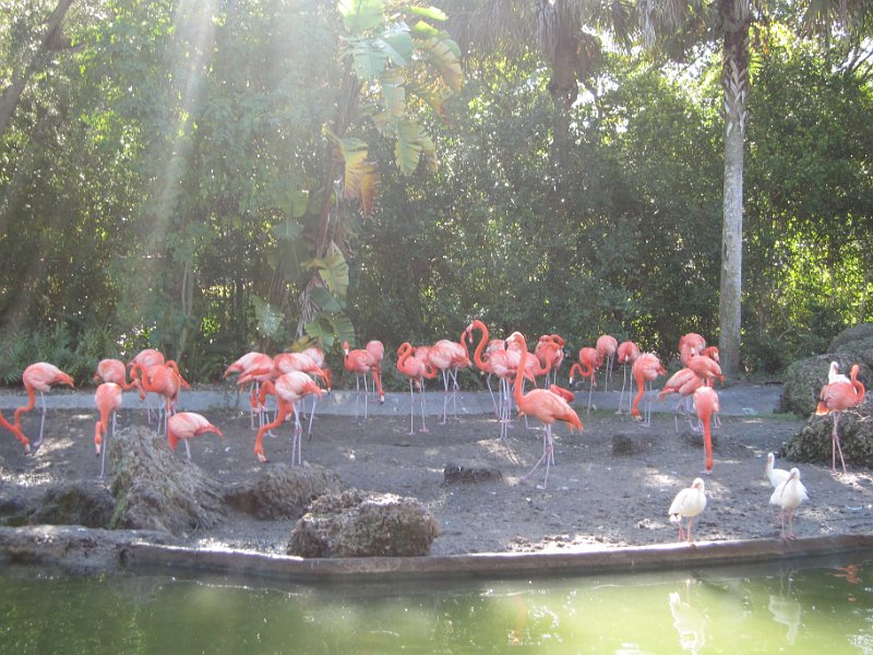 Florida Dec 2010 0079