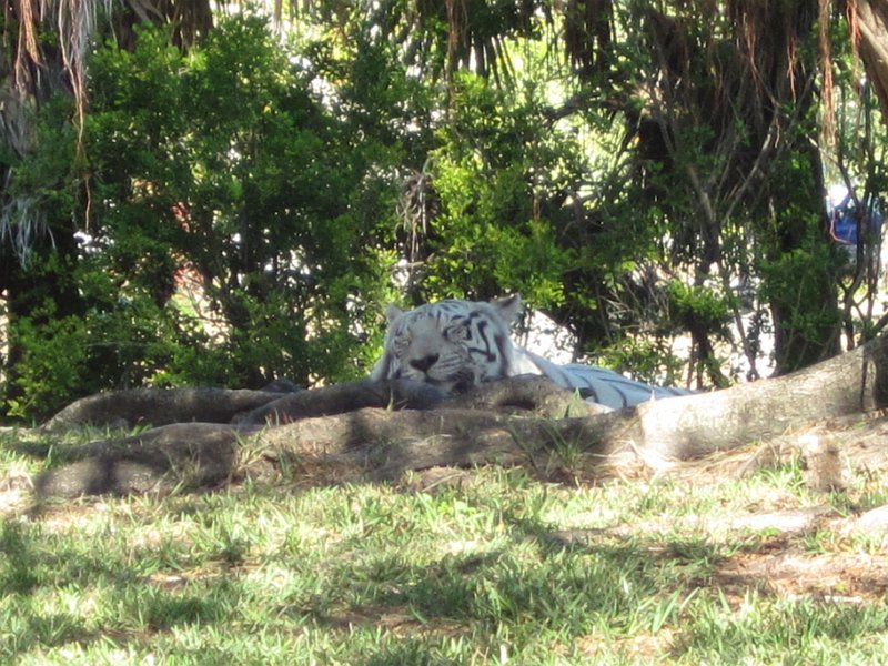 Florida Dec 2010 0083