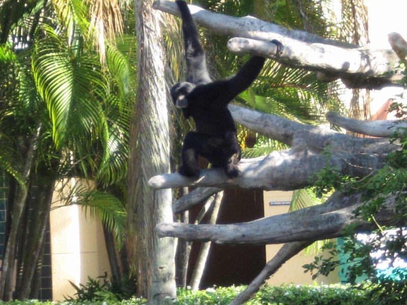 Florida Dec 2010 0085