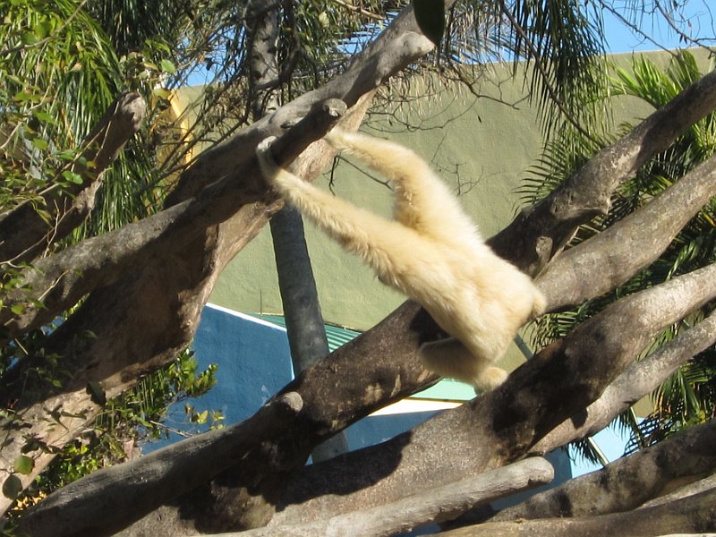 Florida Dec 2010 0086