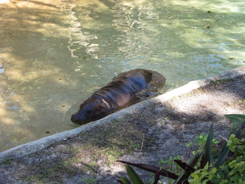 Florida Dec 2010 0107