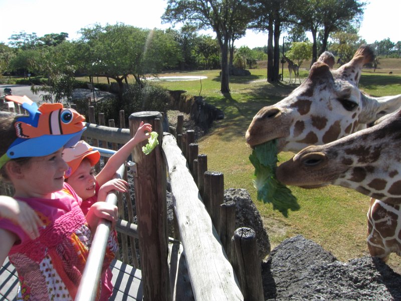 Florida Dec 2010 0113