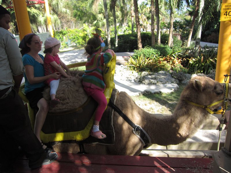 Florida Dec 2010 0136